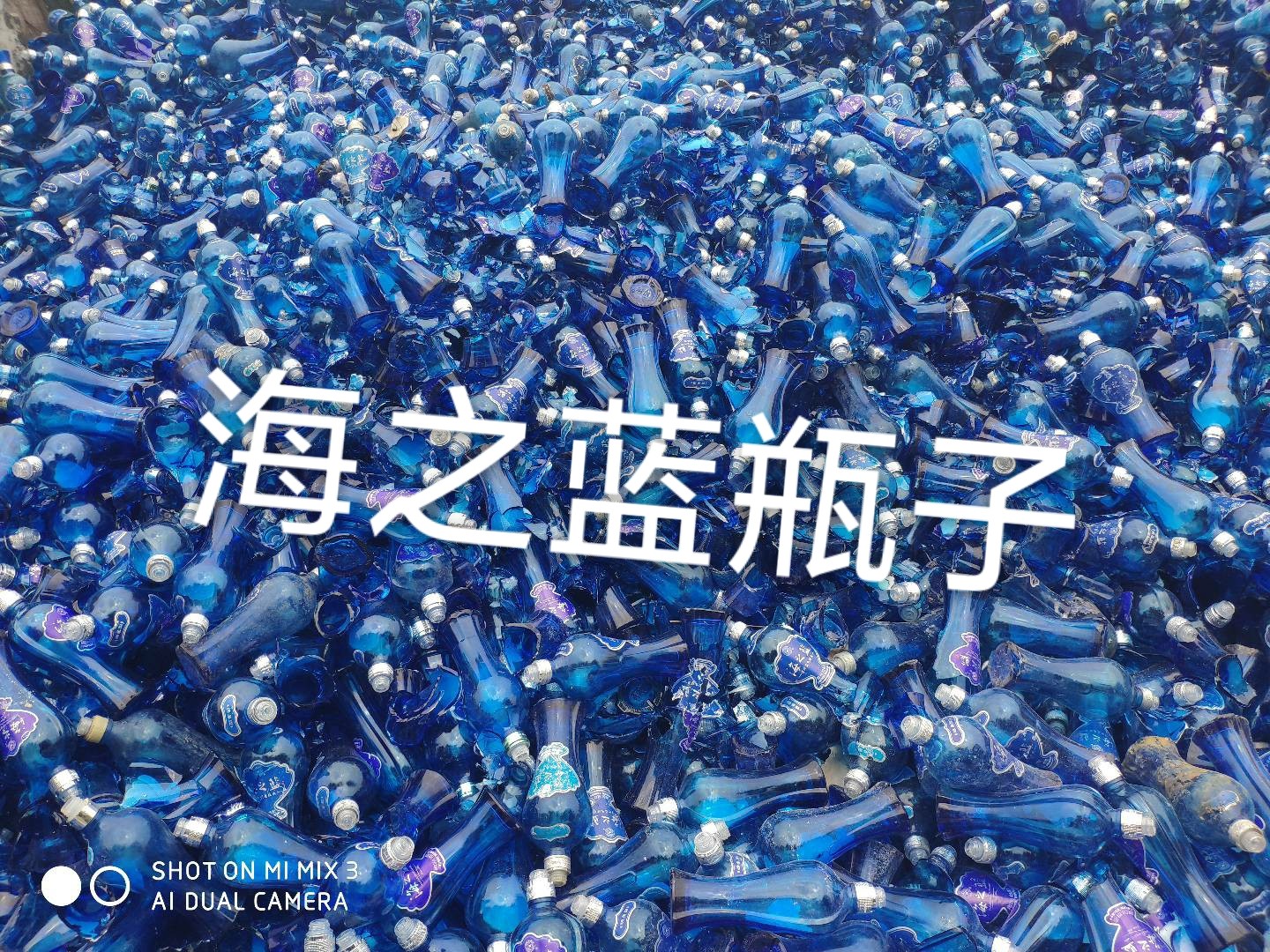 涟水海之蓝瓶回收